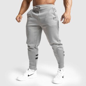 Jogger tepláky Iron Aesthetics Boxed, šedá