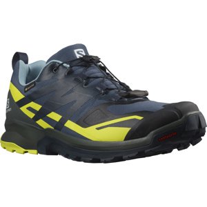 Salomon SALOMON Xa rogg 2 GTX EU 45 ⅓, Mood I/Urban Chic/Eve Pánské trekové boty