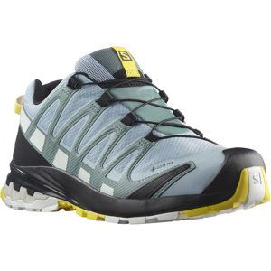 Salomon SALOMON Xa Pro 3D V8 GTX EU 39 ⅓, Zen Blue/White/Gol Dámské trailové boty