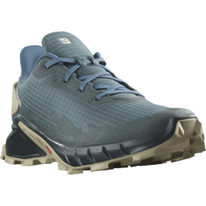 Salomon Alphacross 4 EU 43 ⅓, Stargazer/Carbon/Moss Gray Pánské boty