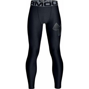 Legíny Under Armour B UA HeatGear Legging