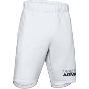 Šortky Under Armour Under Armour Baseline Fleece Short