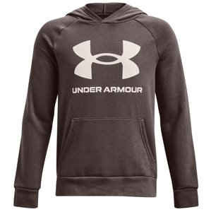 Mikina s kapucí Under Armour Under Armour Rival