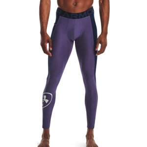 Legíny Under Armour UA Evolution Train Legging