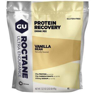 Proteinové prášky GU Energy GU Roctane Recovery Drink Mix 915 g Van