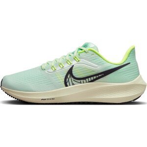 Běžecké boty Nike Air Zoom Pegasus 39