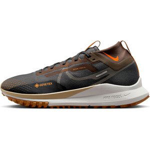 Trailové boty Nike Pegasus Trail 4 GORE-TEX