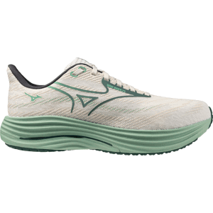 Běžecké boty Mizuno Wave Rider 29