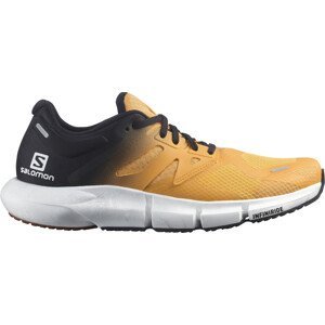 Běžecké boty Salomon PREDICT2