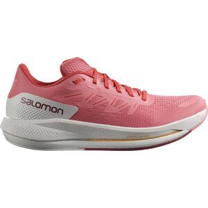 Běžecké boty Salomon SPECTUR W