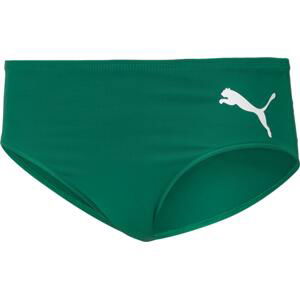 Kalhotky Puma Cross the Line Brief W 2.0