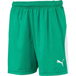 Šortky Puma LIGA Shorts Jr