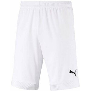 Šortky Puma CUP Shorts