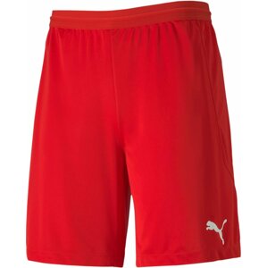 Šortky Puma teamFINAL 21 knit Shorts