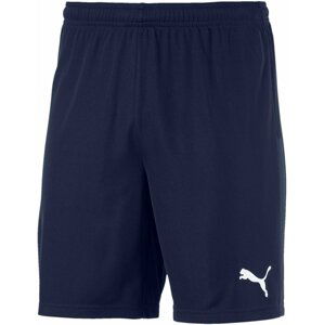 Šortky Puma teamGOAL 23 knit Shorts jr