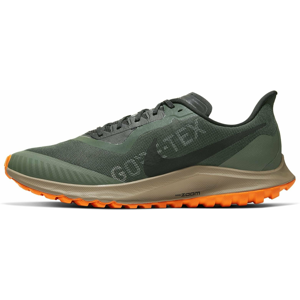 Trailové boty Nike ZOOM PEGASUS 36 TRAIL GTX