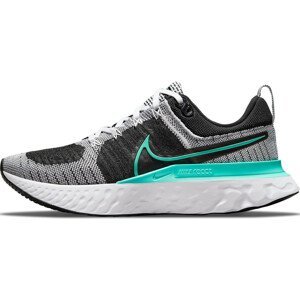 Běžecké boty Nike React Infinity Run Flyknit 2
