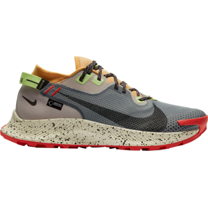 Trailové boty Nike  PEGASUS TRAIL 2 GTX