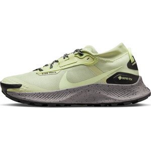 Trailové boty Nike Pegasus Trail 3 Gore-Tex