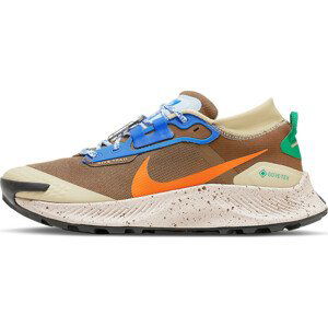 Trailové boty Nike Pegasus Trail 3 GTX