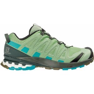Trailové boty Salomon XA PRO 3D v8 W