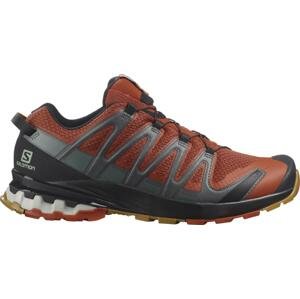 Trailové boty Salomon XA PRO 3D v8