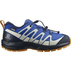 Trailové boty Salomon XA PRO V8 CSWP J