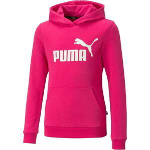 Puma Ess Logo Hoodie 152