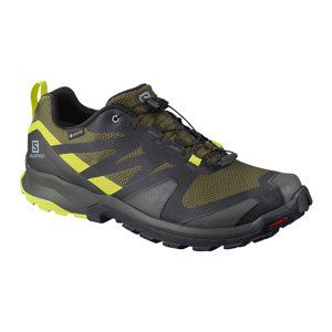 Salomon  XA ROGG GTX EU 46, Olive Night/Peat/Lime Punch Pánské boty