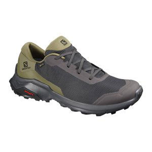 Salomon  X REVEAL GTX EU 46, Phantom/Burnt Olive/Black Pánské boty