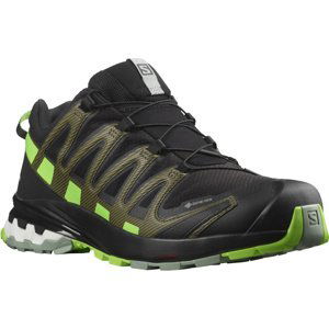 Salomon SALOMON Xa Pro 3D V8 GTX EU 42 ⅔, Black/Green Gecko/Green Milieu Pánské trailové boty