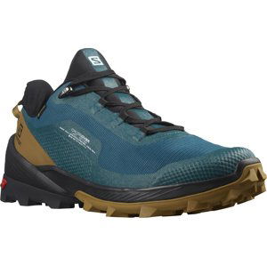 Salomon SALOMON Cross Over GTX EU 46 ⅔, Legion/Black/Cumin Pánské turistické boty