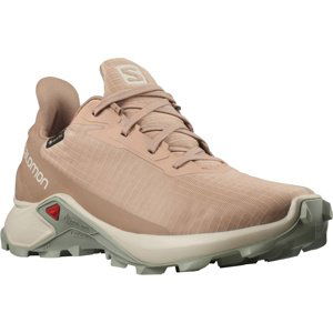 Salomon Alphacross 3 GTX EU 42, Sirocco/Rainy D Dámské boty