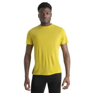 ICEBREAKER Mens Merino Core SS Tee, Lux velikost: M