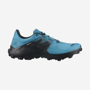 Salomon obuv Wildcross 2 Gtx reef blac  blue Velikost: 8