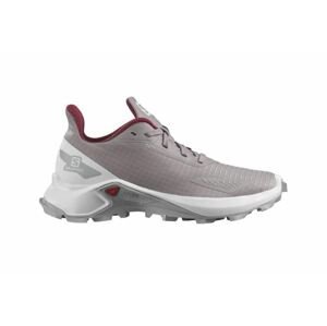 Salomon obuv Alphacross Blast J quail white Velikost: 37