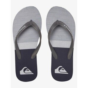 Quiksilver - pantofle MOLOKAI TIJUANA grey Velikost: 45