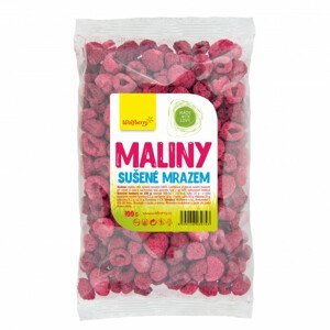 Maliny lyofilizované 100 g - Wolfberry