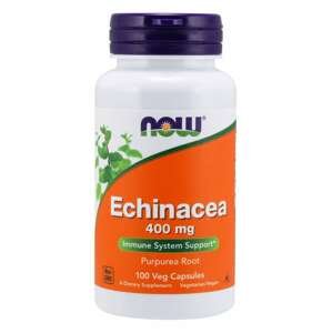 Echinacea 400 mg 100 kaps. - NOW Foods