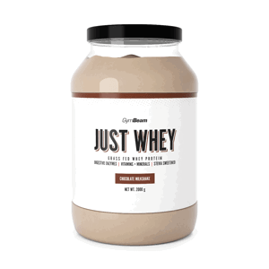 Protein Just Whey 1000 g borůvkový jogurt - GymBeam