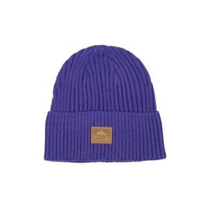 COLOURWEAR Badge Beanie fialový