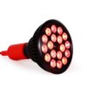 Mito Light Bulb 4.0