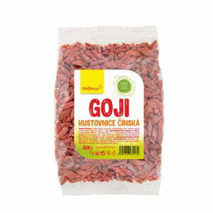 Goji kustovnice čínská Wolfberry 250 g