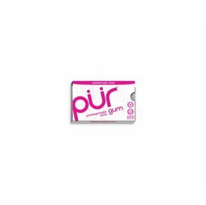 The PÜR Company Přírodní žvýkačky bez aspartamu a cukru - Pomegranate Mint| PÜR Množství: 9 ks