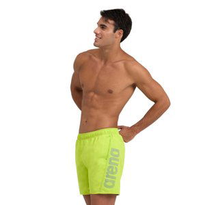 ARENA-FUNDAMENTALS LOGO BOXER R Green Zelená S