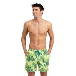 ARENA-MENS BEACH BOXER ALLOVER-610-soft green multi barevná M