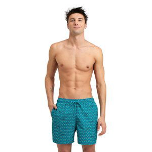 ARENA-MENS BEACH BOXER ALLOVER-600-green lake logo Zelená XL