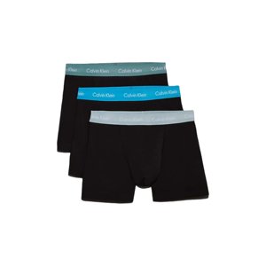 CALVIN KLEIN-TRUNK 3PK-B- VIVID BL, ARONA, SAGEB GRN WBS Černá L