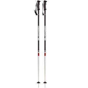 BLIZZARD-Rental ski poles barevná 125 cm 20/21