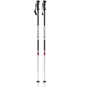 BLIZZARD-Rental ski poles barevná 115 cm 20/21